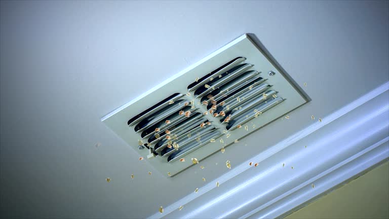 Best Air Duct Mold Removal  in Colesville, MD